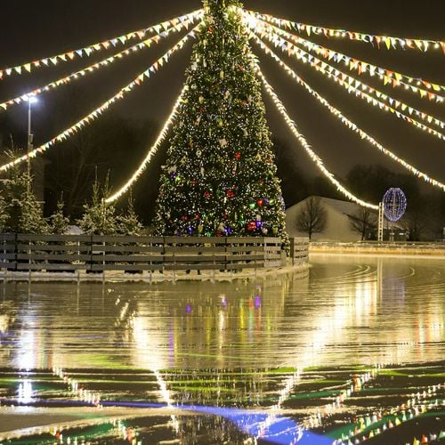 Richmond This Winter: WinterWorld at CarMax Park and Monet to Matisse at the VMFA, With Dates and Ticket Prices