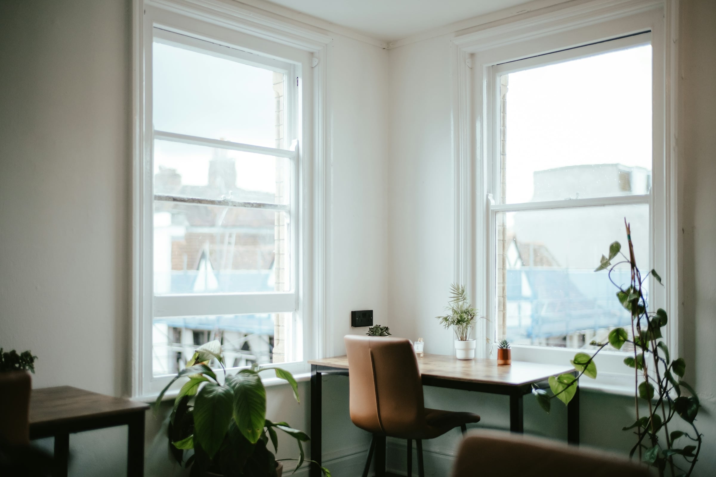A home workspace with a desk and chair set against tall windows, with trailing houseplants along the sill.