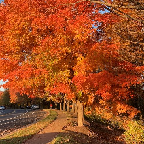 Richmond Fall Events 2026: What Is Happening From Early October Through Mid-November