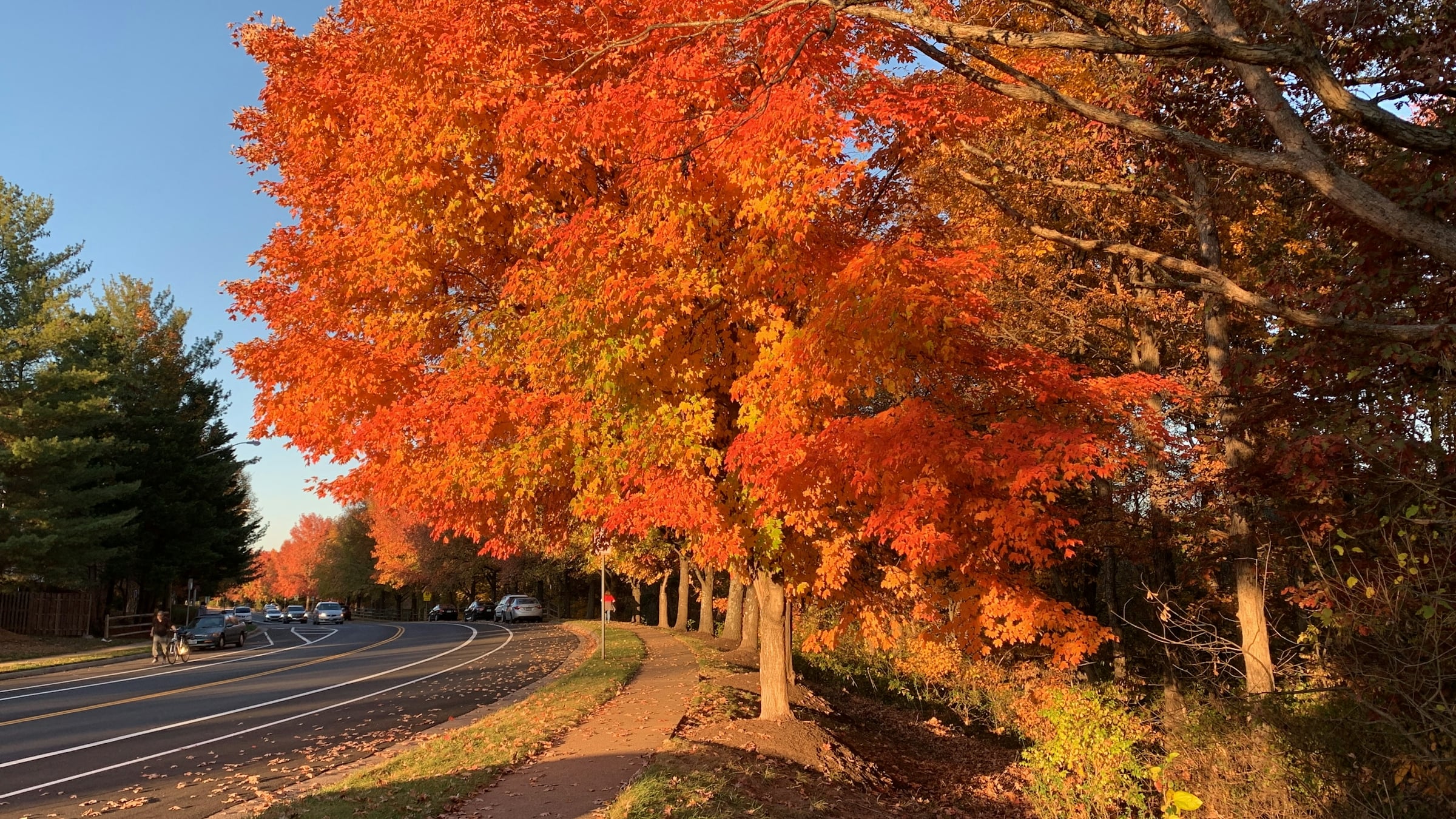 Richmond Fall Events 2026: What Is Happening From Early October Throug&hellip;