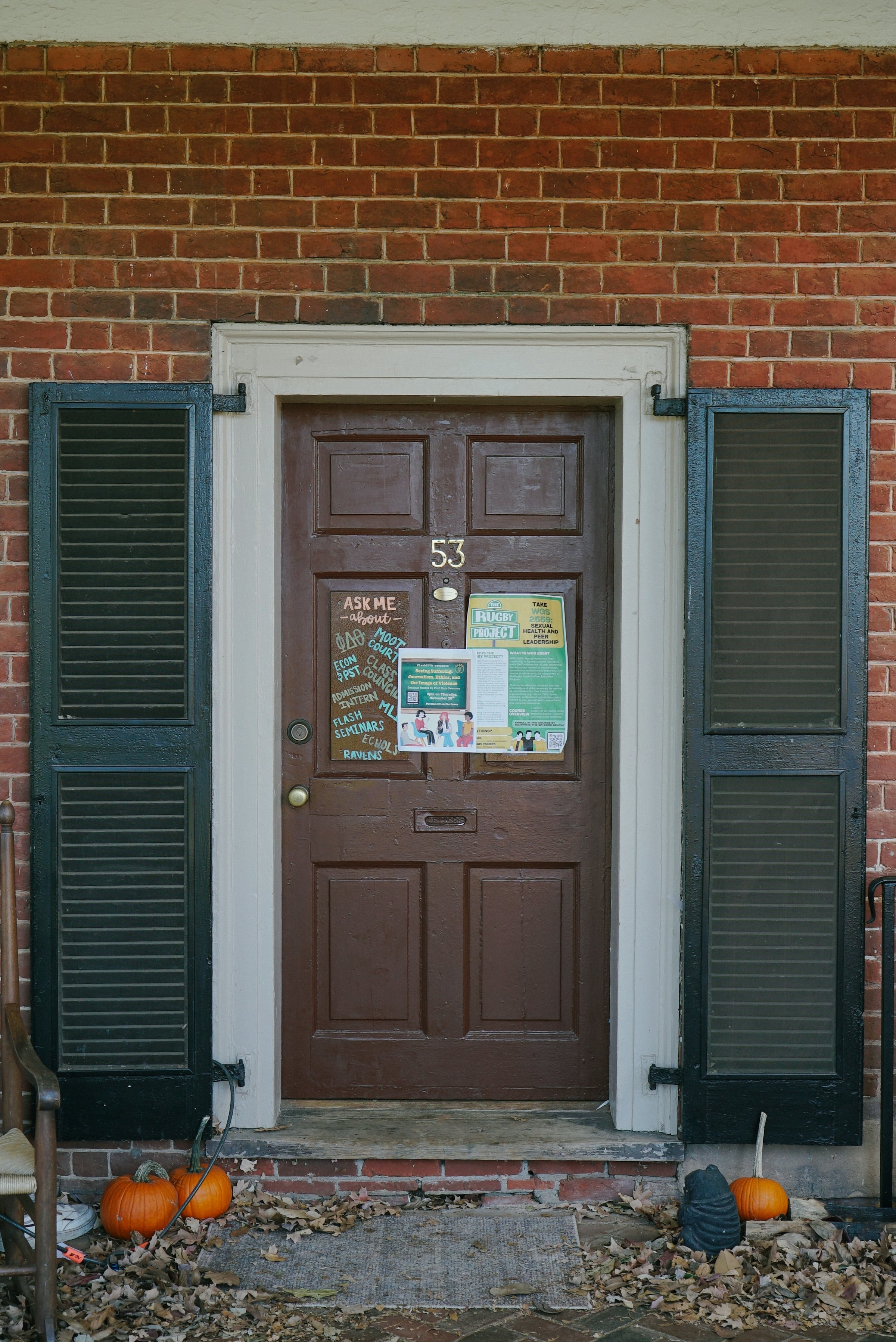 A panelled front door flanked by dark green louvred shutters on a painted brick wall