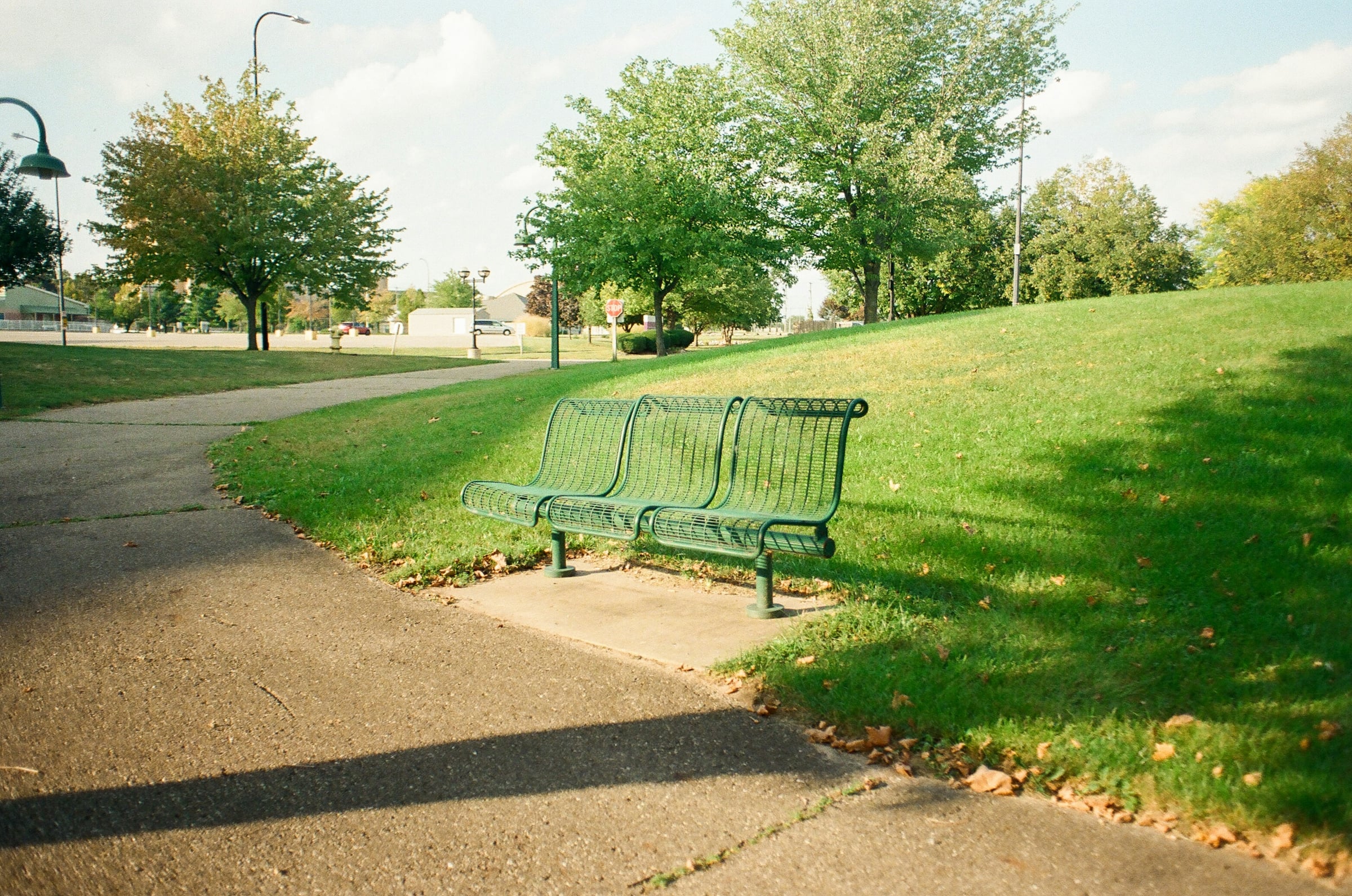 A green park bench beside a paved walking path cutting across a mown riverside lawn.