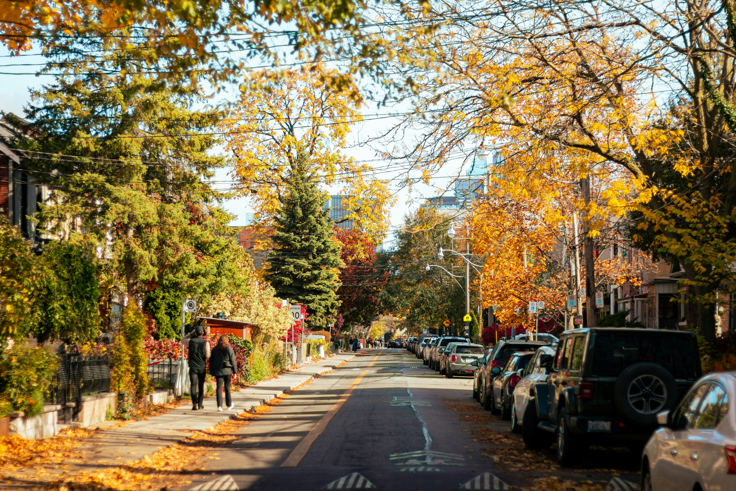 People walking along a sunlit residential street with autumn trees and parked cars
