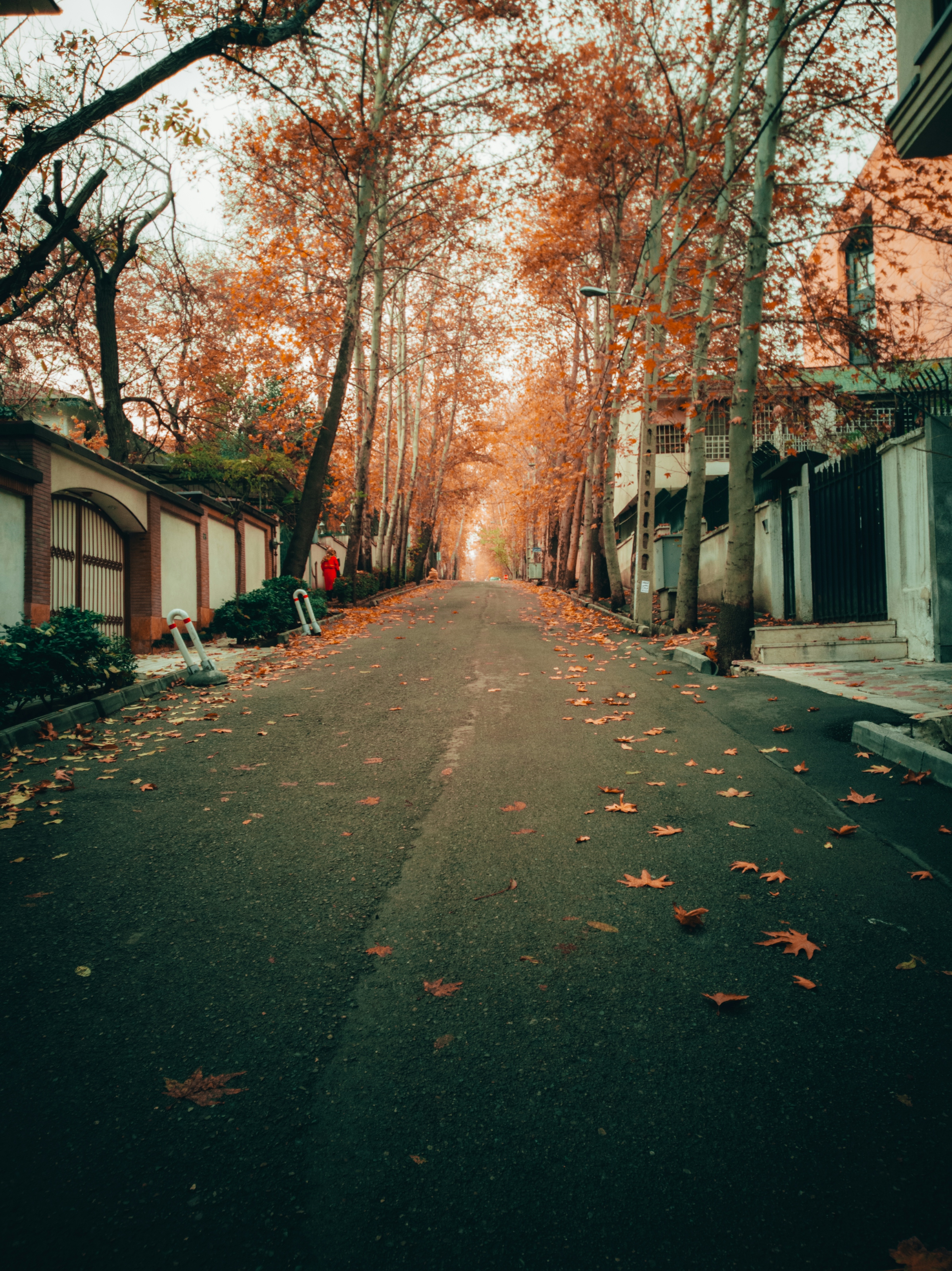 A person walking down a leaf strewn street between garages under autumn trees