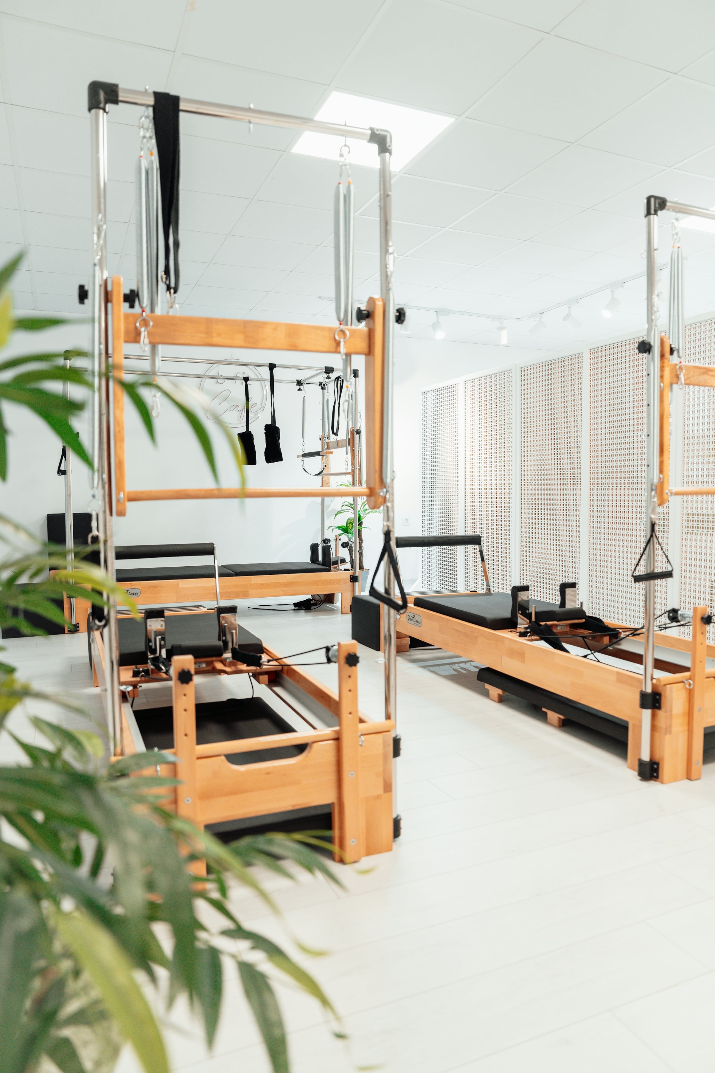 Pilates reformer machines in a bright studio with tall potted plants