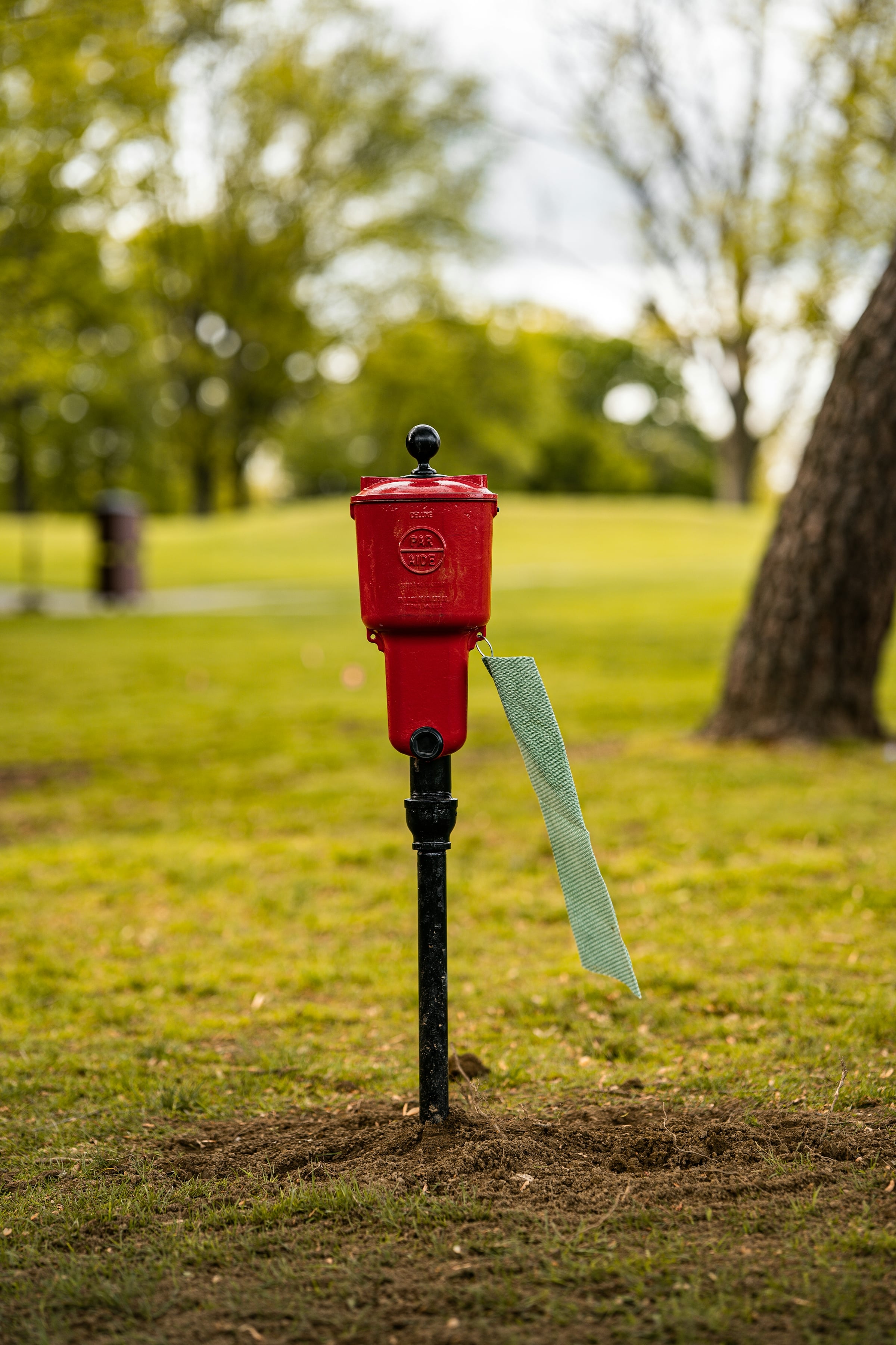 Red utility marker post standing in mown grass beside a tree trunk, marking a buried line running across a residential property