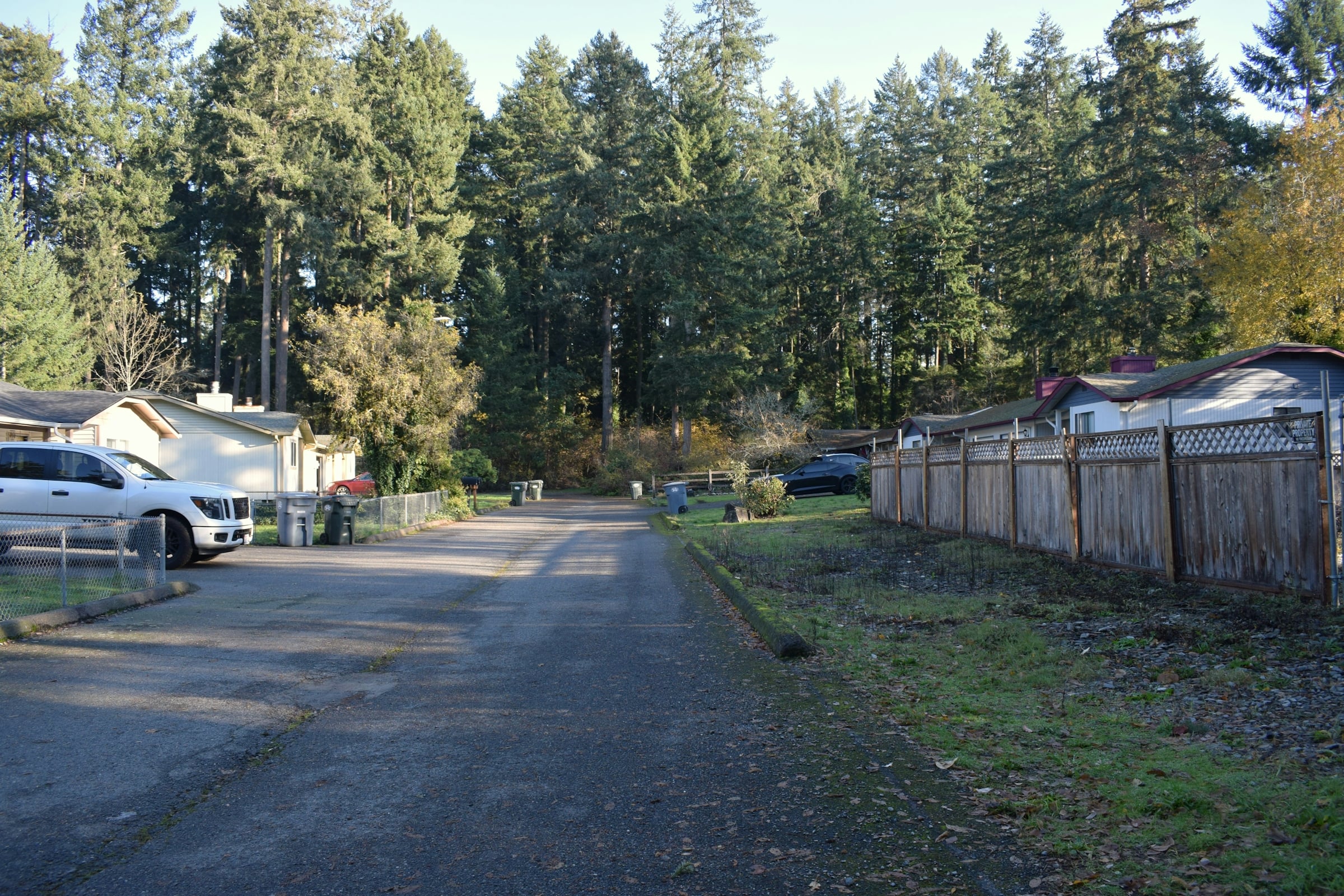 A quiet residential street with a wooden boundary fence, tall evergreens and a few cars parked along the edge of the roadway.