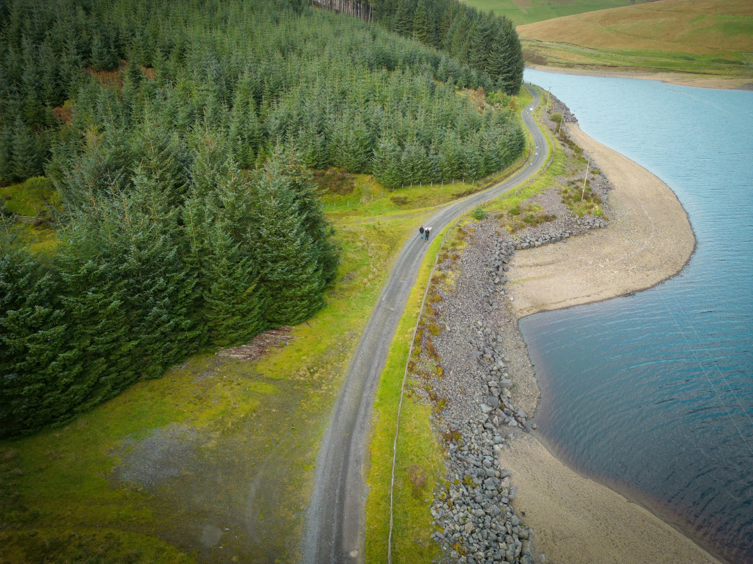 An aerial view of a winding road tracing the wooded shoreline of a calm reservoir.
