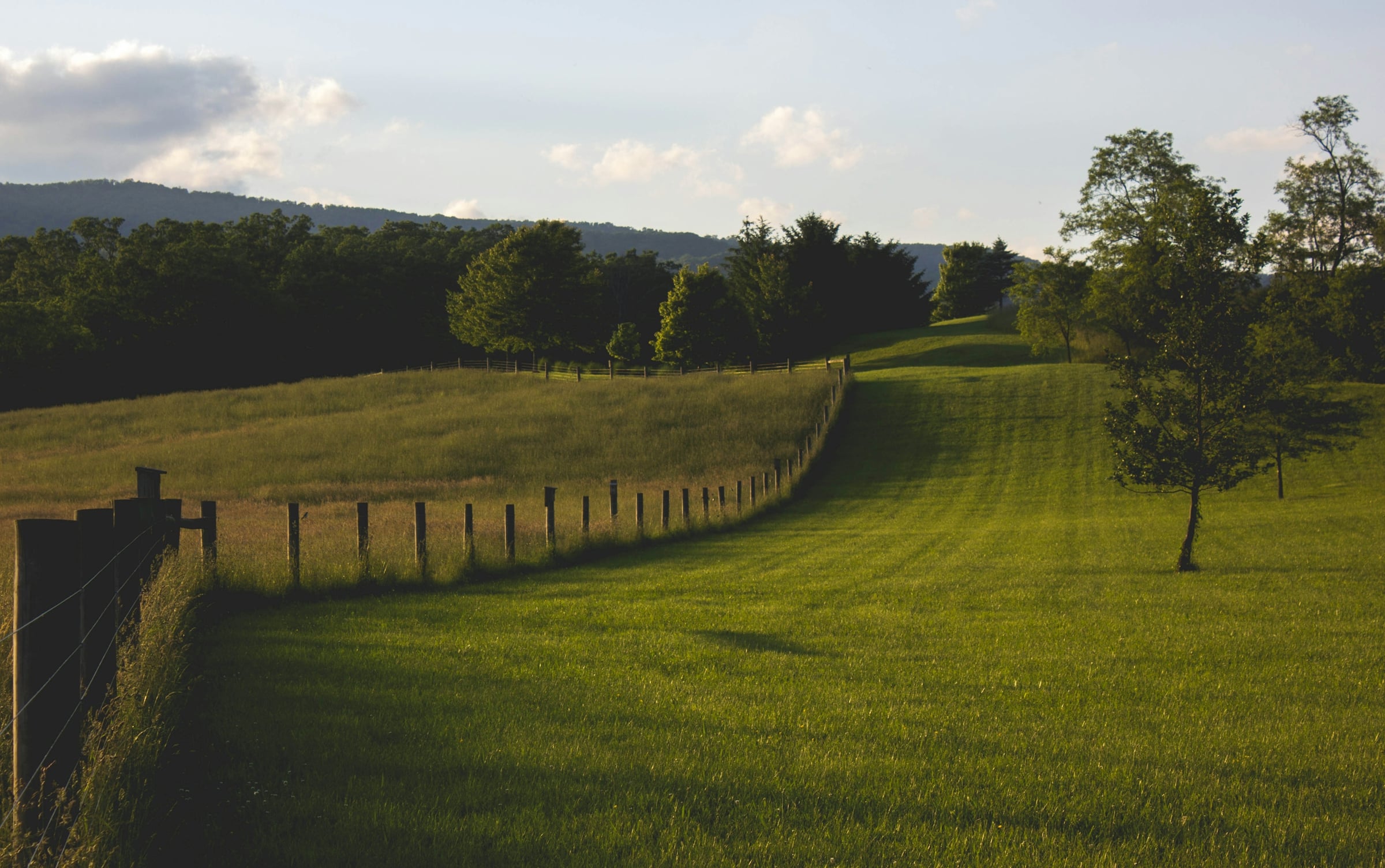 Rolling green field with a post-and-rail fence running along the edge of a treeline