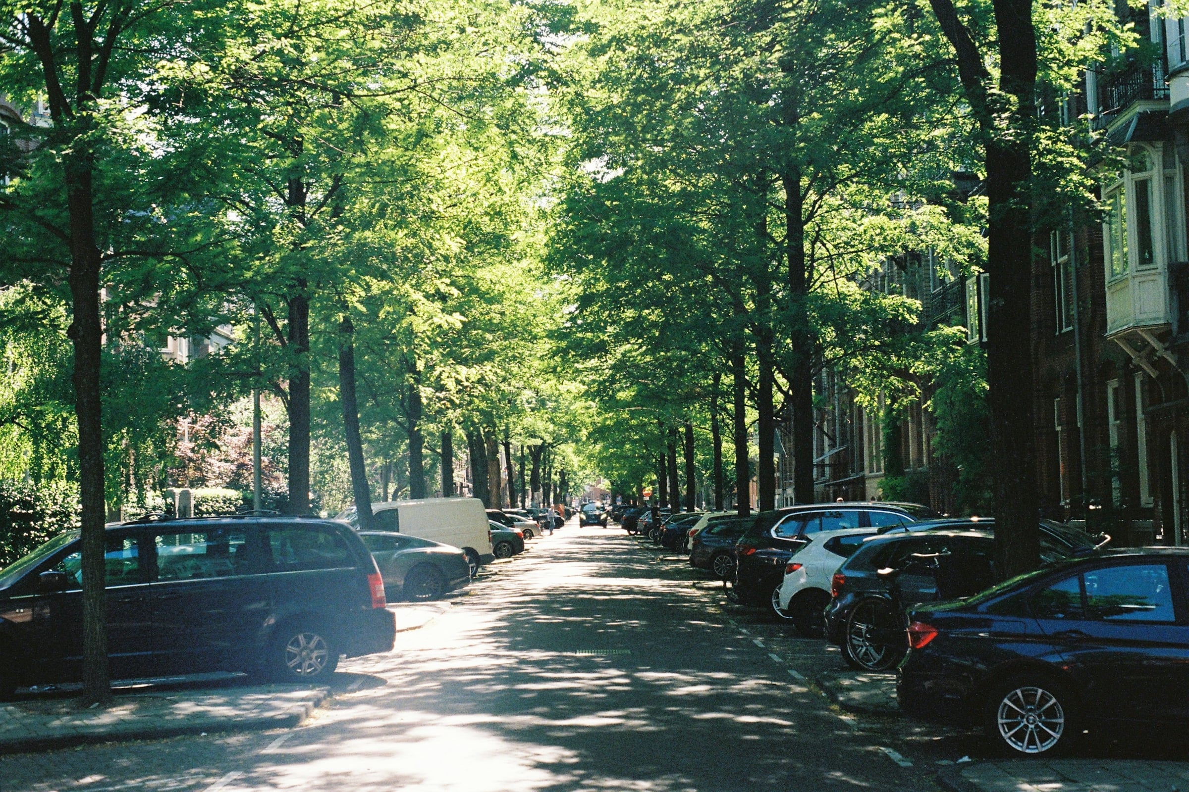 A residential street shaded by a full tree canopy with cars parked along the curb