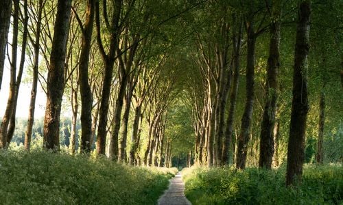 Best Richmond-Area Neighborhoods Next to a Major Park