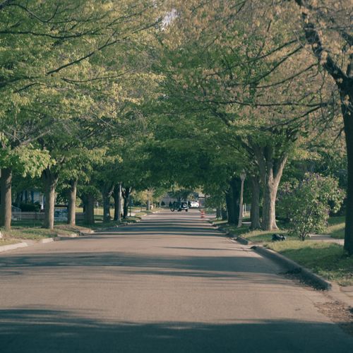 Best Richmond-Area Neighborhoods for Mature Tree Cover and Real Summer Shade
