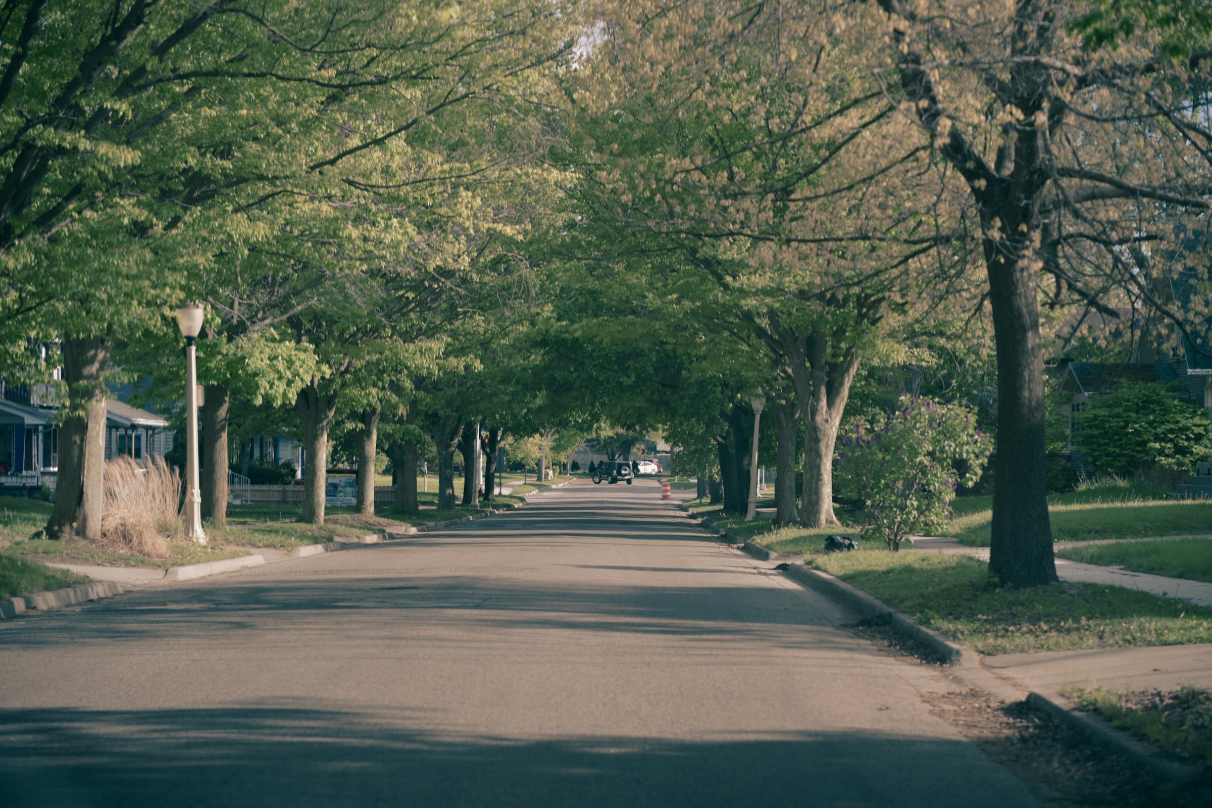 A quiet residential street shaded by a continuous canopy of mature deciduous trees, with lawns and houses set back on both sides.