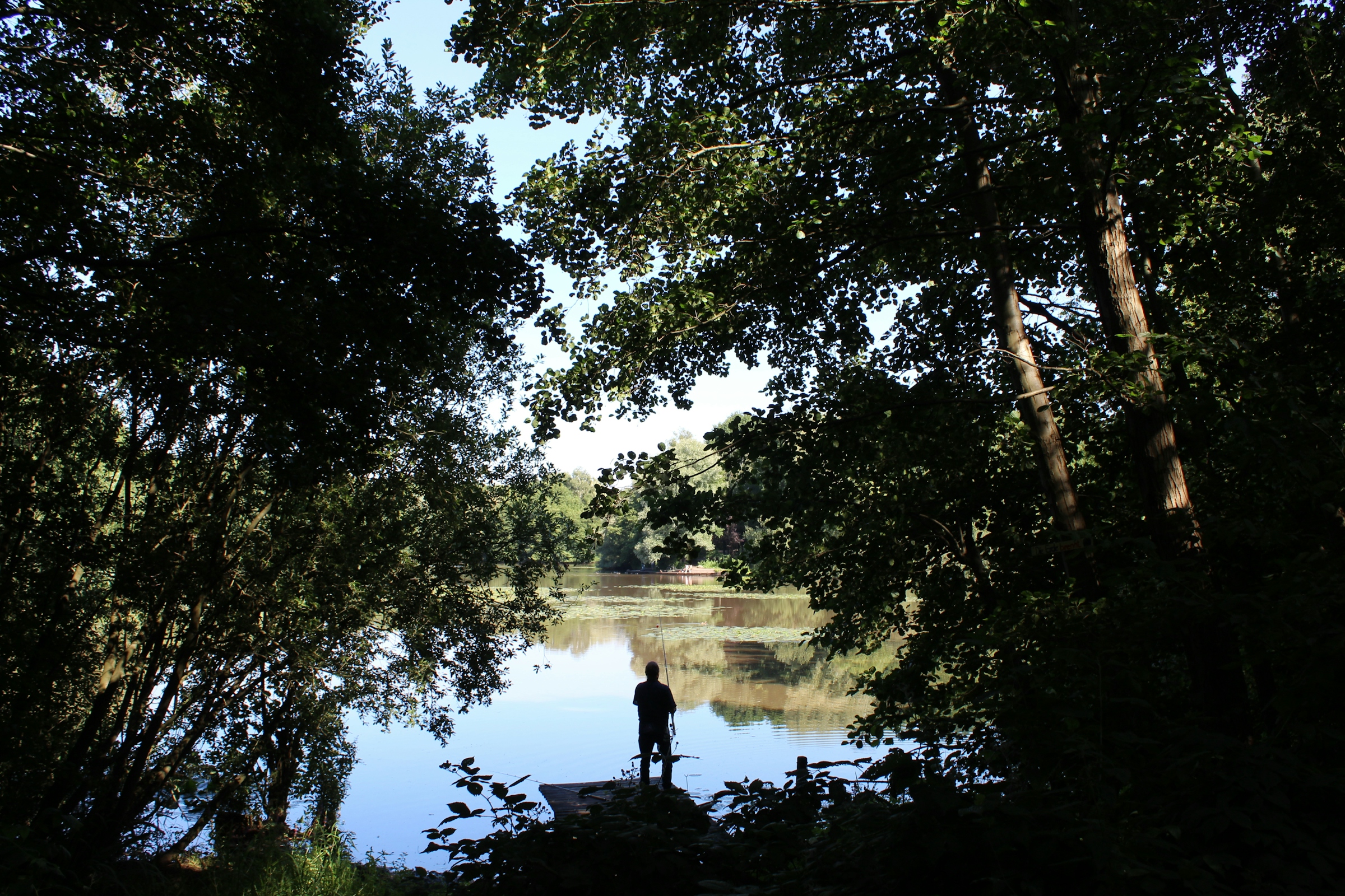 Calm wooded lake seen through overhanging deciduous branches, with a single person standing at the grassy shoreline