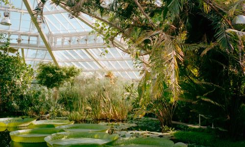 Maymont Names Jill Barry of Houston Botanic Garden …