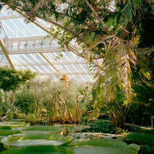 Maymont Names Jill Barry of Houston Botanic Garden as Next President and CEO
