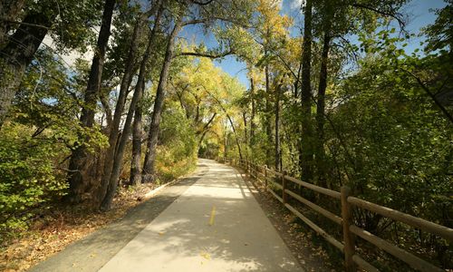 Fall Line Trail in Henrico: 7.5 Miles, 8 …