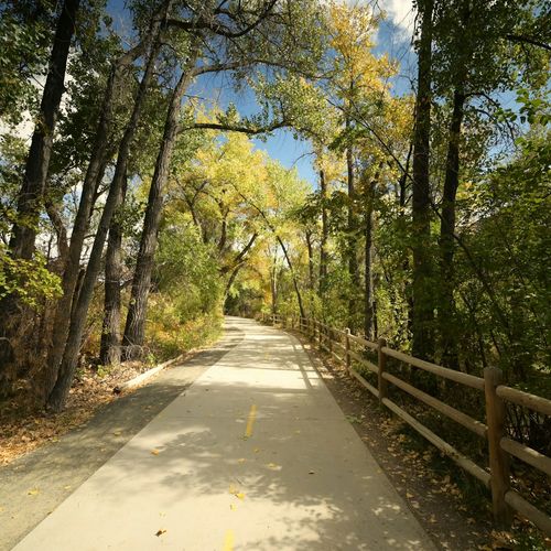 Fall Line Trail in Henrico: 7.5 Miles, 8 Sections and the Timeline for Each