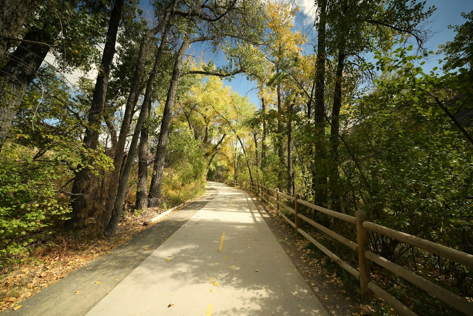 Paved multi-use trail winding through trees with a wooden fence beside it