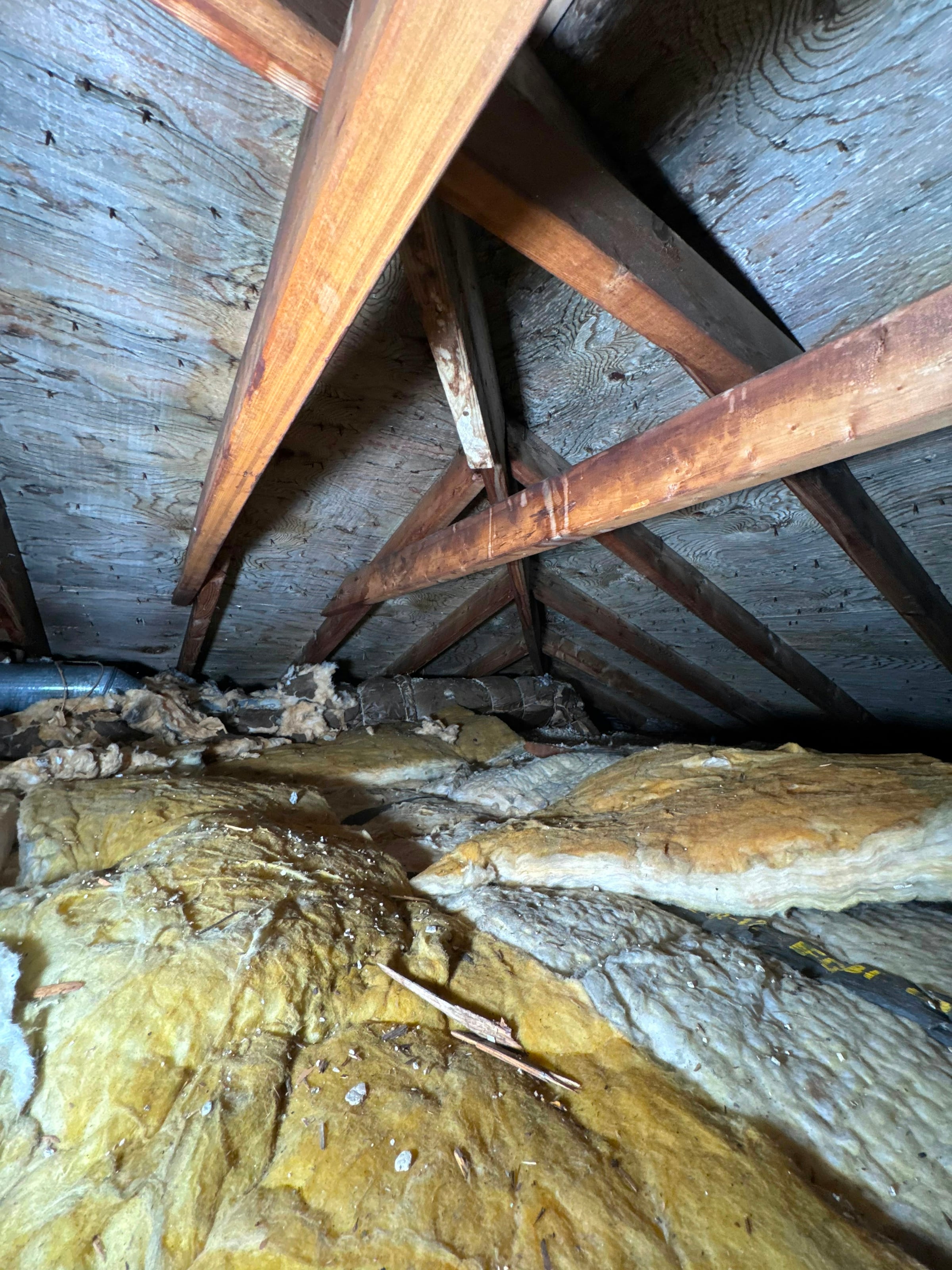 Attic space with exposed wooden rafters and yellow fiberglass insulation laid between them