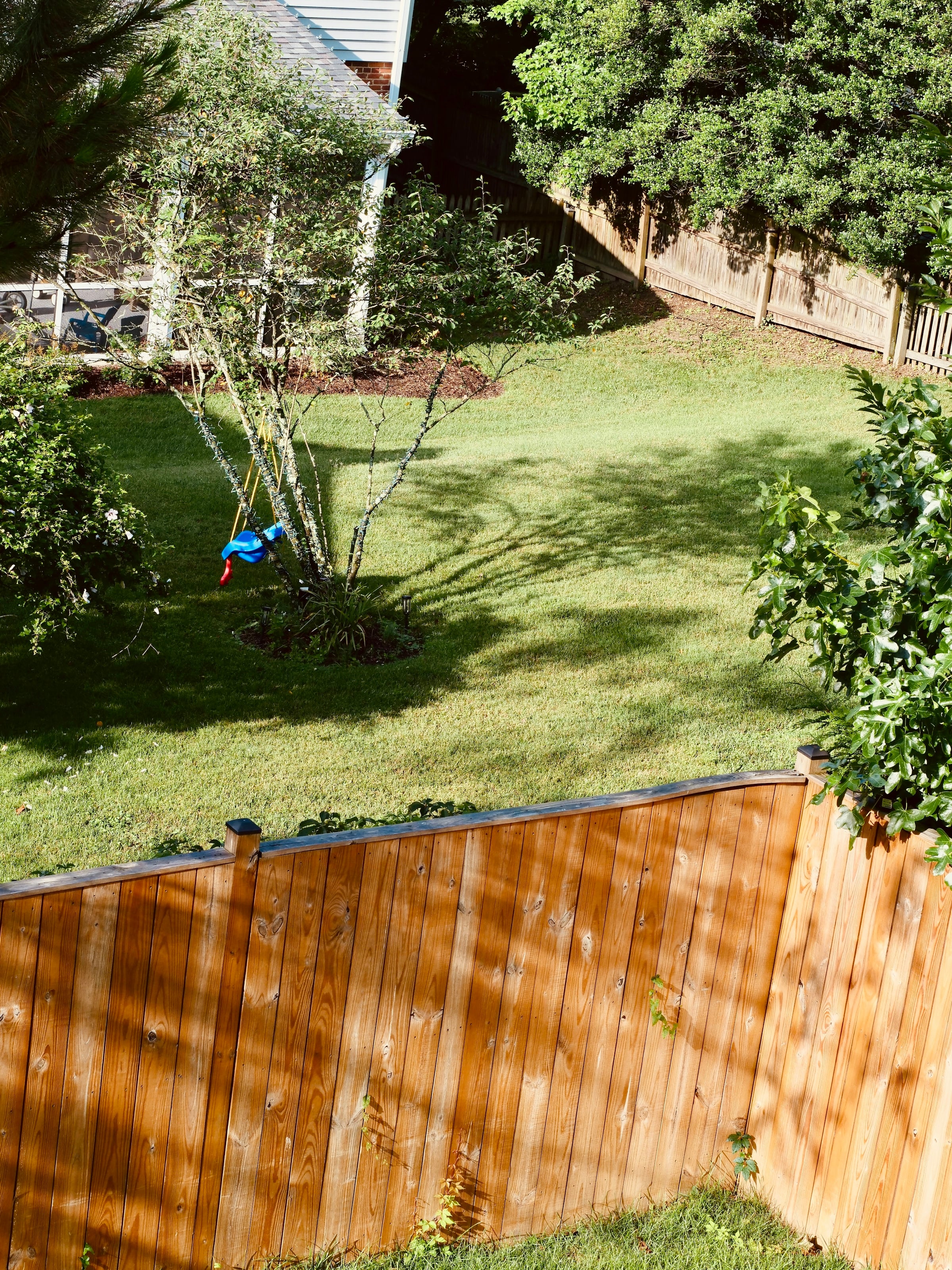 Wooden privacy fence along a sunlit green backyard lawn with young trees and a neighboring building behind