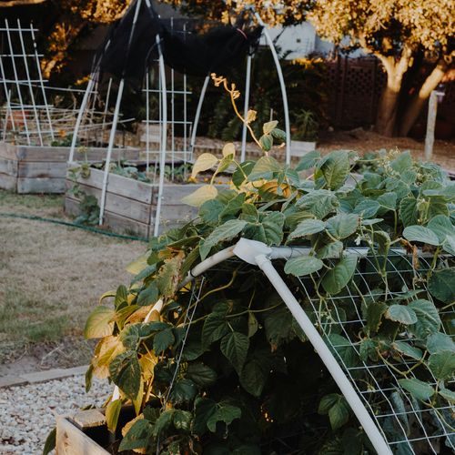 Richmond Neighborhoods Near a City Community Garden: What the Official Garden List Ties to Church Hill, The Fan, Manchester, North Side and Oregon Hill