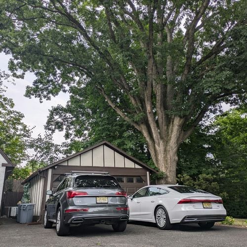 Richmond Neighborhoods Where Off-Street Parking Is Easy, and Where It Is a Daily Problem
