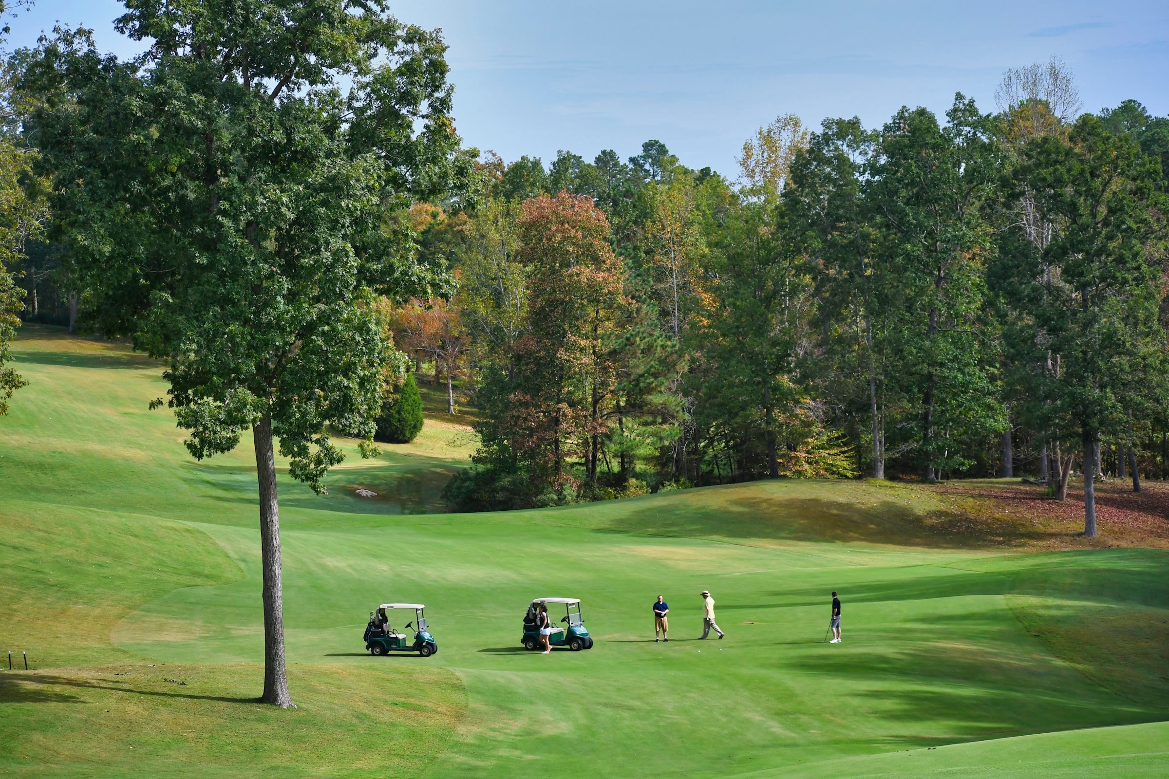 Golfers and two golf carts on a mowed fairway lined with oak and hickory trees showing early fall color