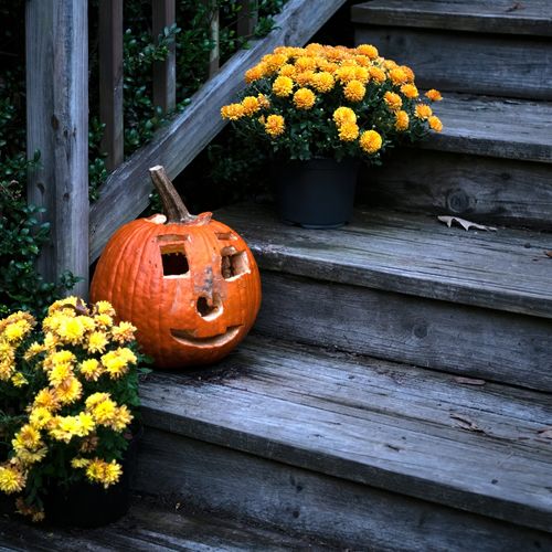 Richmond Halloween Events 2026: Dates, Hours and Prices for October 24 Through October 31