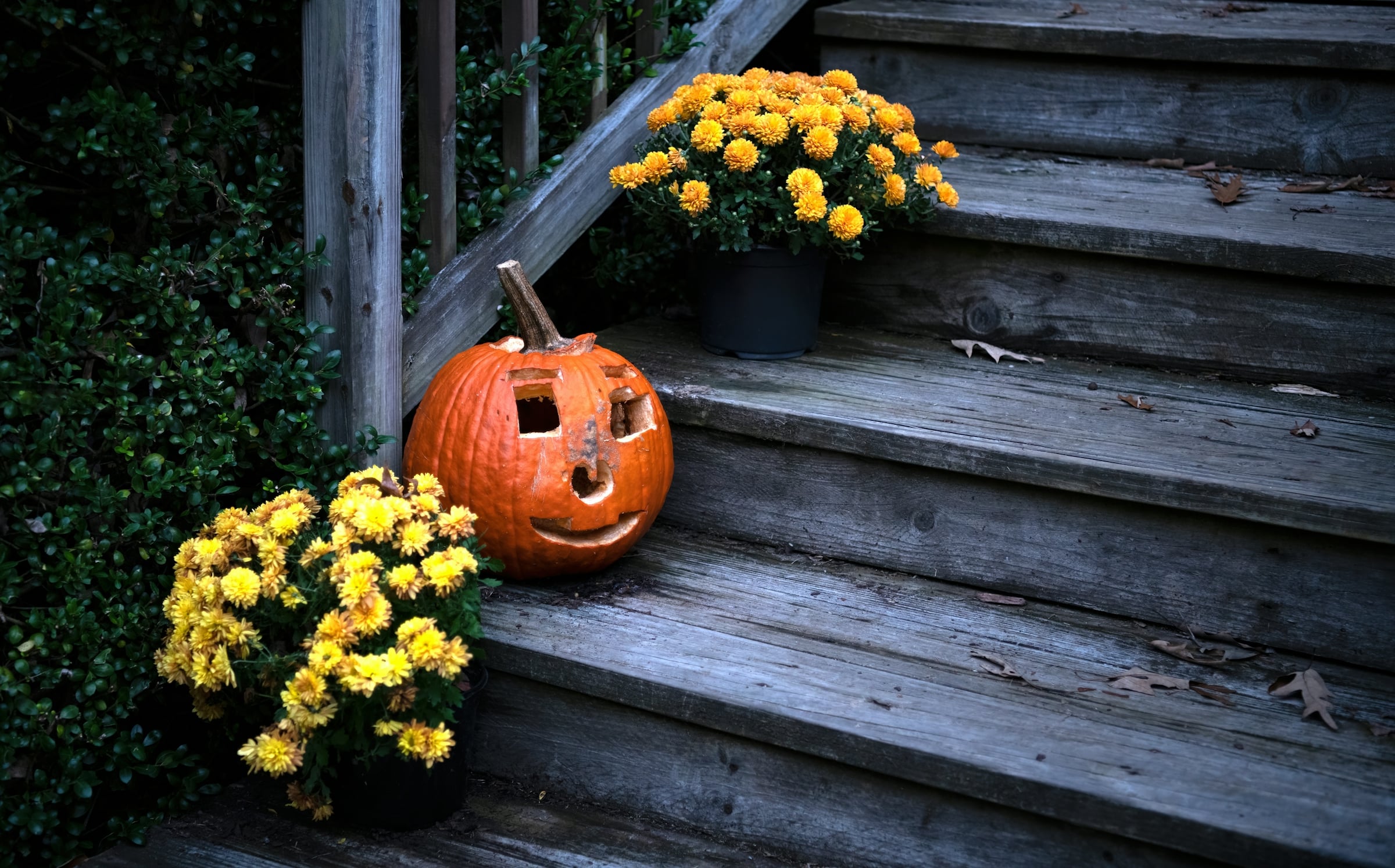 Carved jack-o-lantern and yellow mums on weathered wooden porch steps
