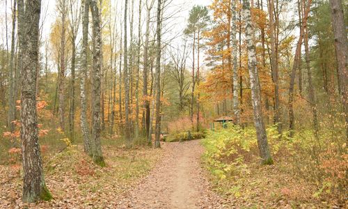 Richmond-Area Neighborhoods With a County or City Park …