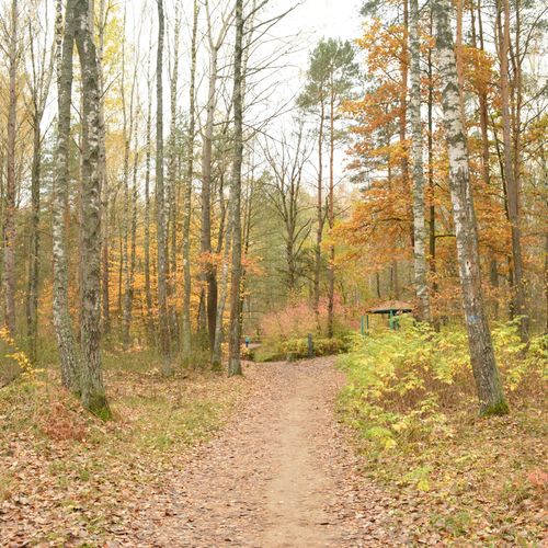 Richmond-Area Neighborhoods With a County or City Park Facility Named for Them: Ettrick, Midlothian, Woodlake, Forest Hill and Church Hill
