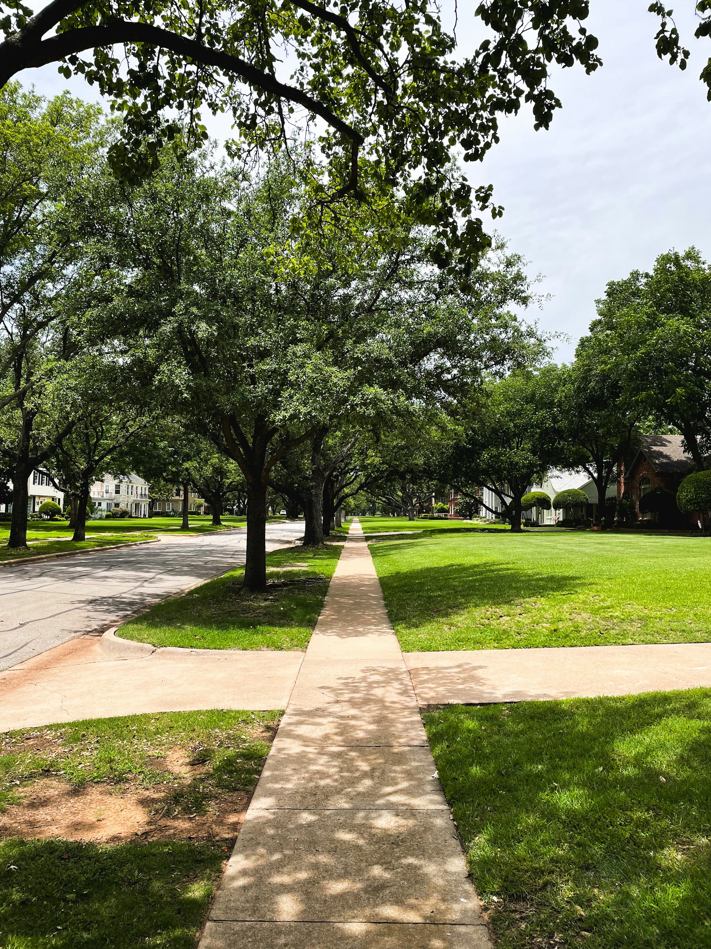 Wide suburban sidewalk running between a mowed lawn and a street, shaded by a row of mature leafy trees with houses in the distance