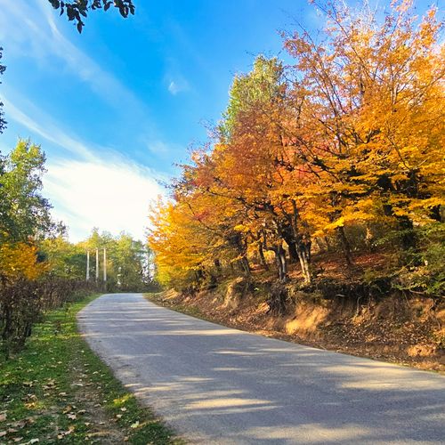 Best Richmond-Area Neighborhoods for Commuting South to Petersburg, Fort Lee and Hopewell
