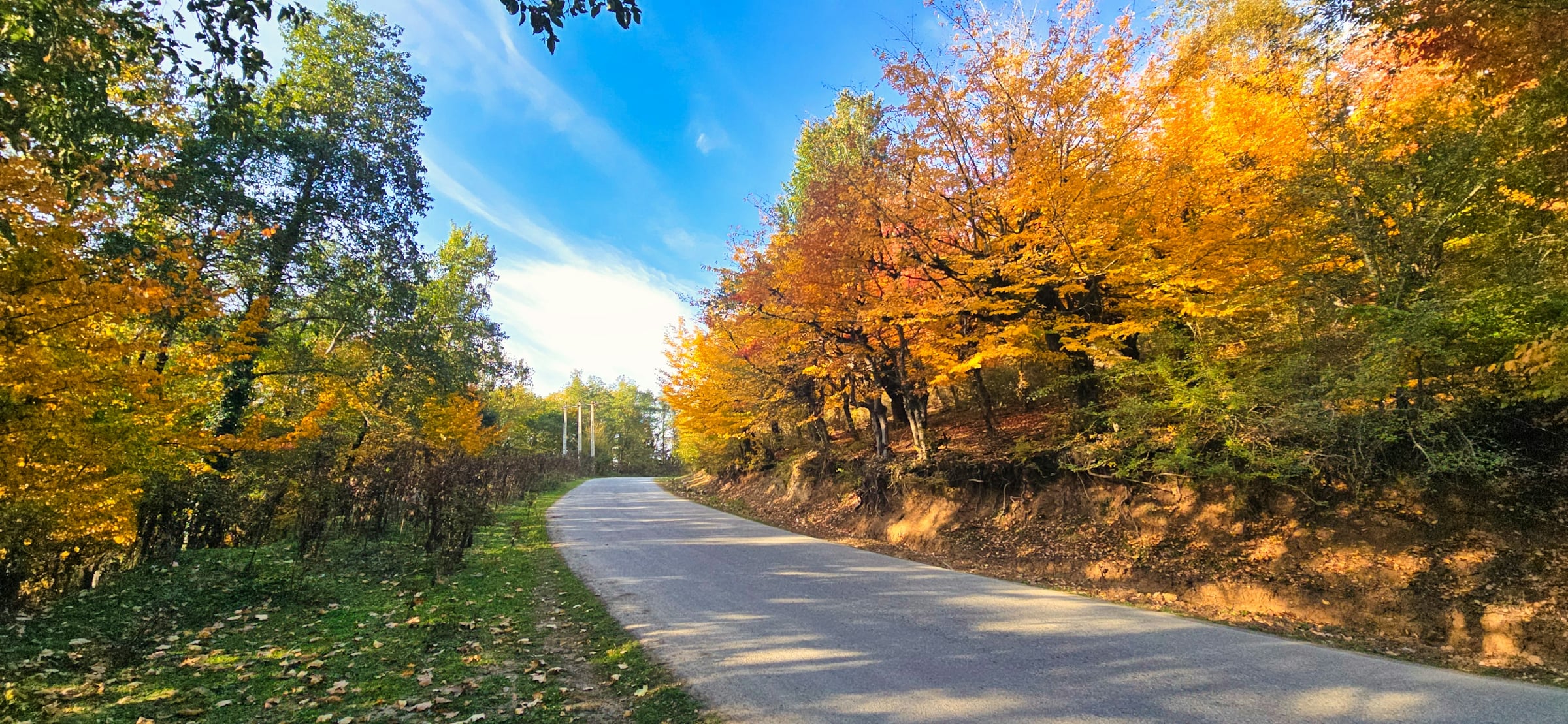 Two-lane paved road curving past trees in autumn color under a blue sky