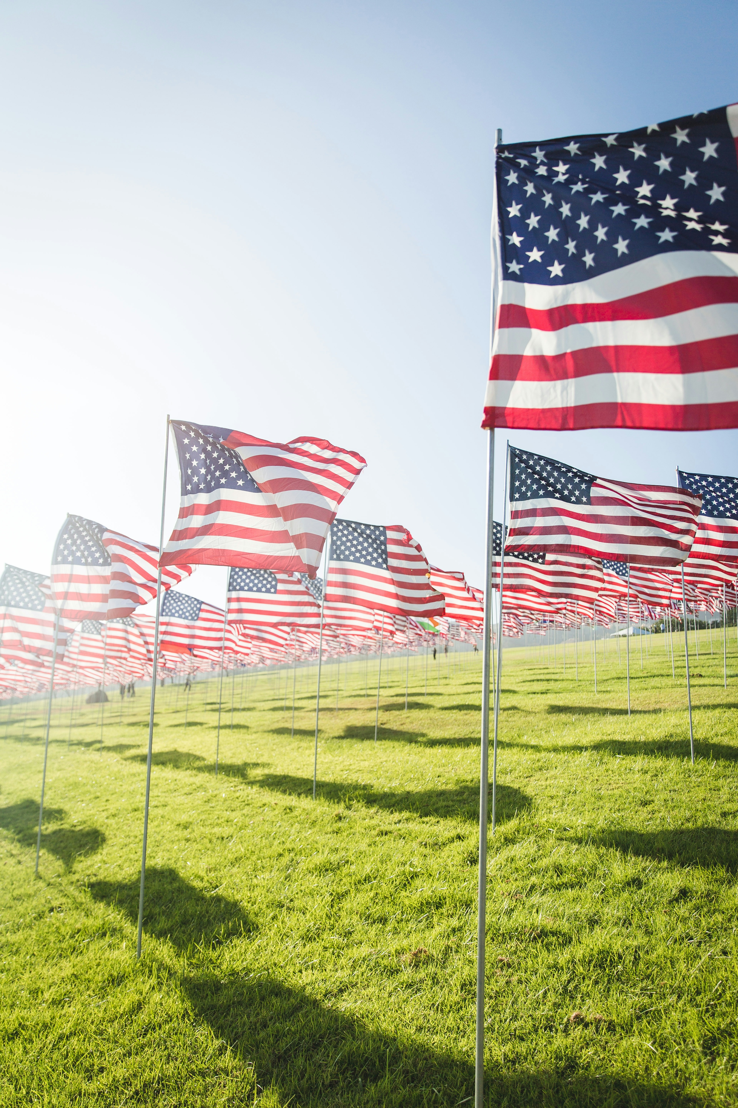 American flags waving in rows across a grassy field in bright sun