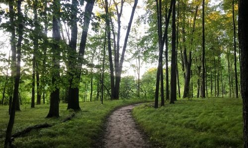 Best Richmond-Area Neighborhoods With Walking Trails Inside the …
