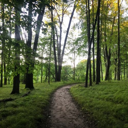 Best Richmond-Area Neighborhoods With Walking Trails Inside the Community