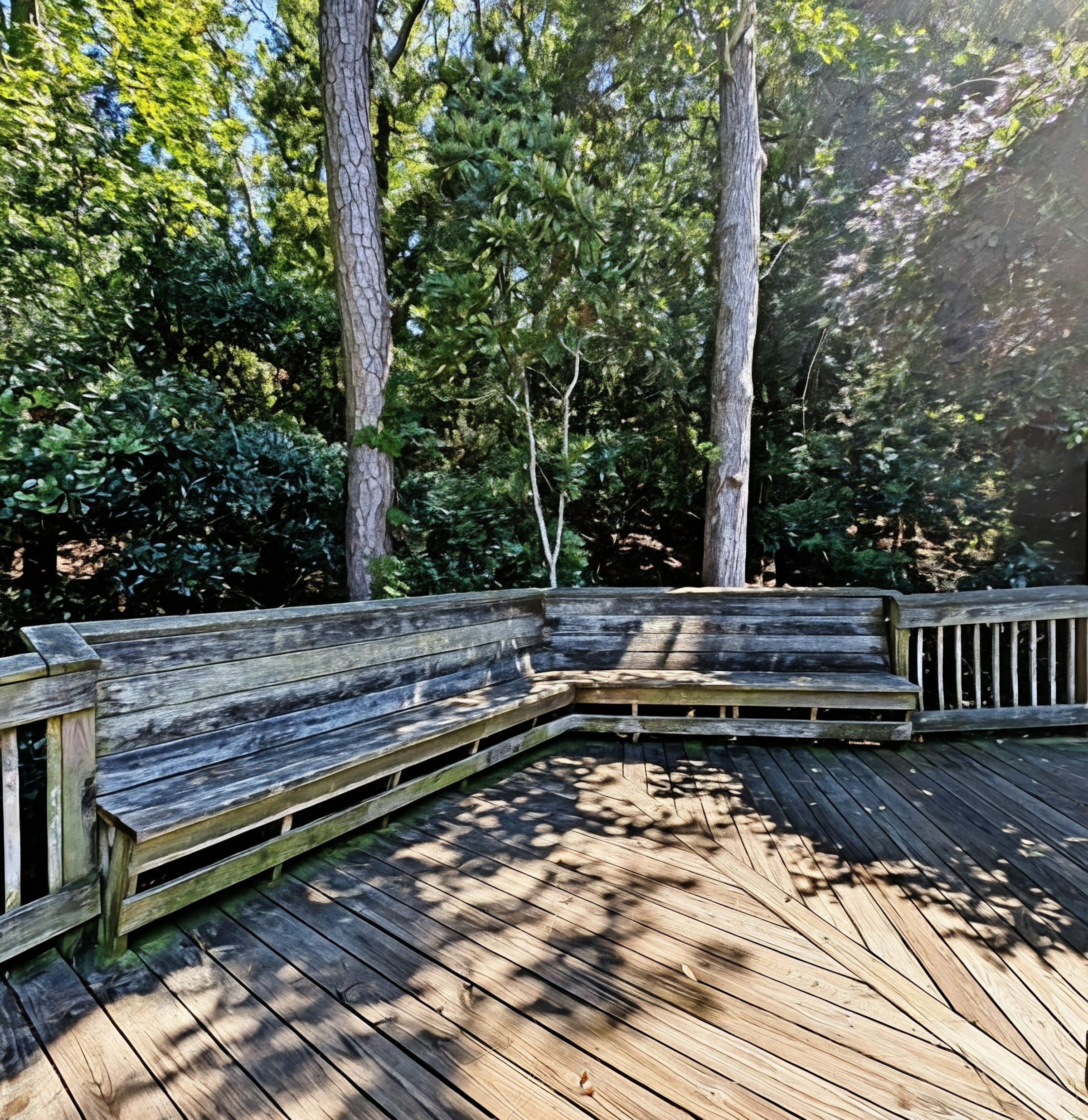 Weathered wooden deck with built-in bench seating beside tall hardwood trunks and evergreen shrubs
