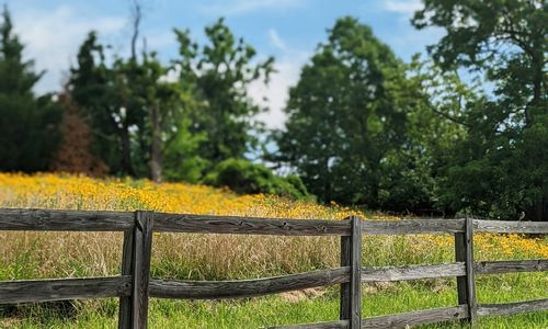 Land-Use Assessment and Roll-Back Taxes on Richmond-Area Acreage: …