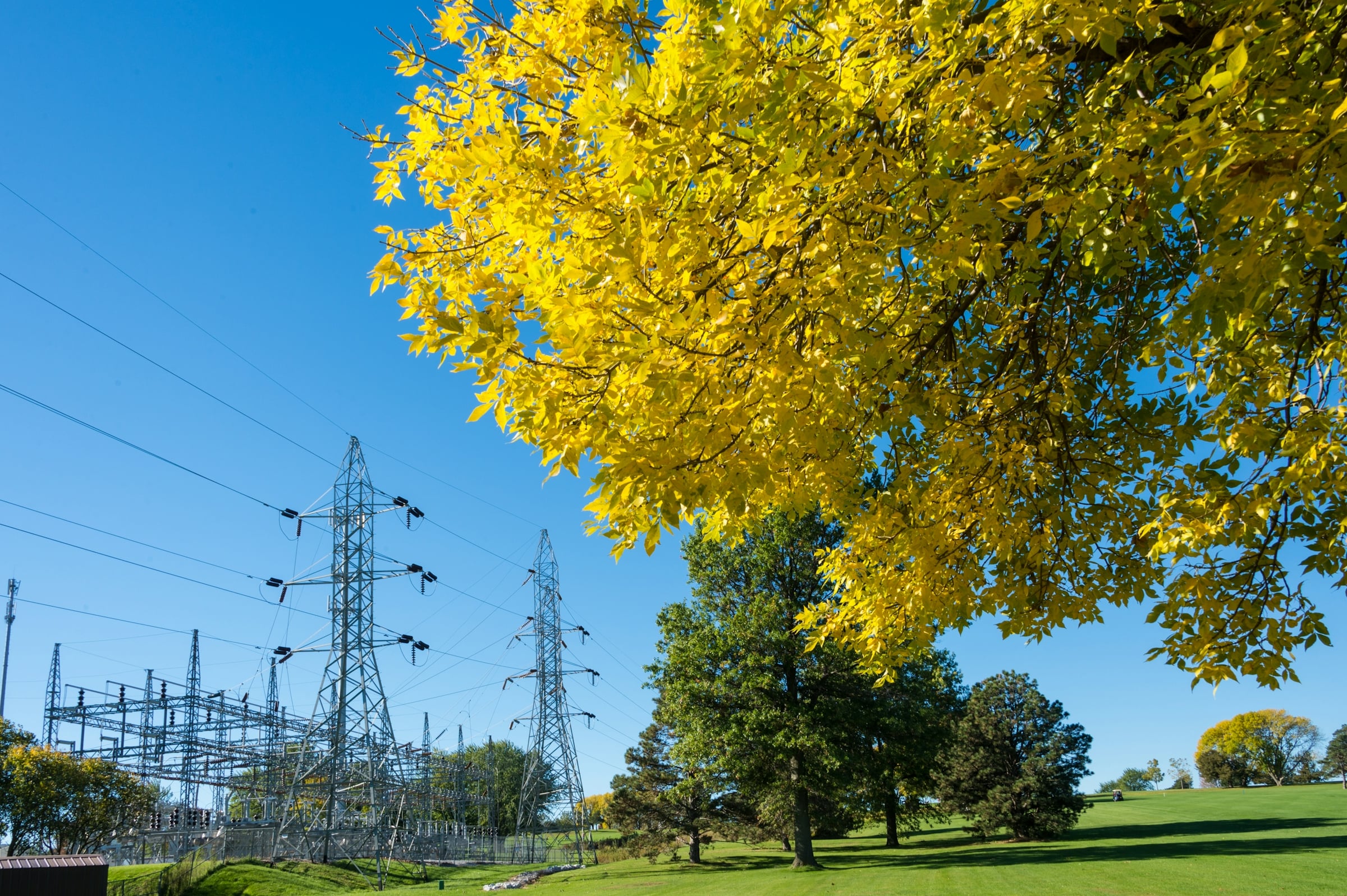 Steel electric transmission towers behind a yellow autumn tree under a clear blue sky