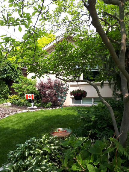 Cdn Flag