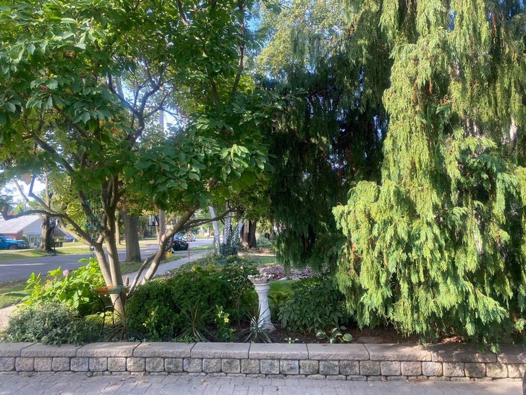 Ft Garden