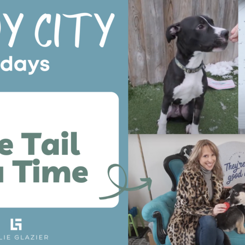 One Tail at a Time | Windy City Wednesdays