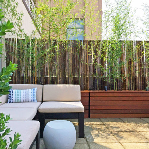 Is your Chicago Home Sunny Spot Ready? Here's Some Tips to Make it Shine!