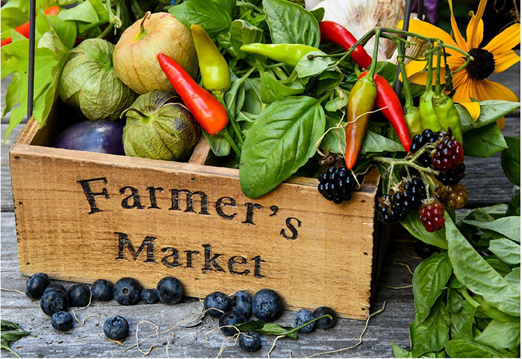 The Ultimate Guide To Chicagos Vibrant Farmers Markets Where To Find