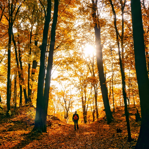 Exploring the Midwest in Fall: Three Luxury Weekend Getaways