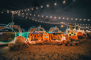 jack's pumpkin pop up