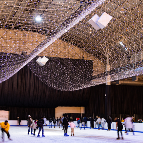 Top Holiday Winter Experiences in Chicago