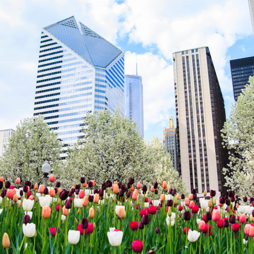 A Guide to Springtime Fun in Chicago